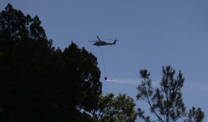 Sinop ve Denizli'de çıkan orman yangınlarına müdahale ediliyor