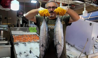 Sinop'ta sezonun ilk torikleri tezgahlarda yerini aldı