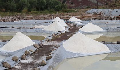 Sivas'ın "esmer tuzu" Japonya'da yemeklere lezzet katıyor