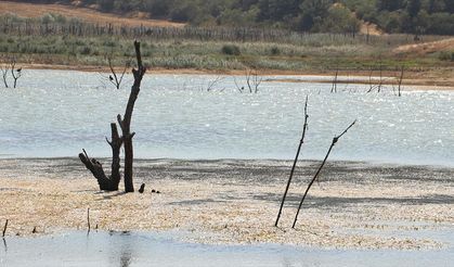Tekirdağ'daki Yazır Göleti'nin su seviyesi kuraklığın etkisiyle yüzde 4'e düştü