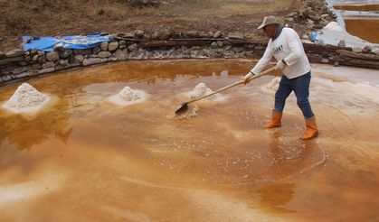 Ünlü şeflerin de tercih ettiği "altın tuz"da hasat zamanı