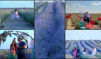 Uşak'ta devlet desteğiyle kurulan "mor bahçeler" yaygınlaşıyor