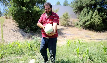 Yakınlarını kanserden kaybedince organik tarıma yönelerek üretici oldu