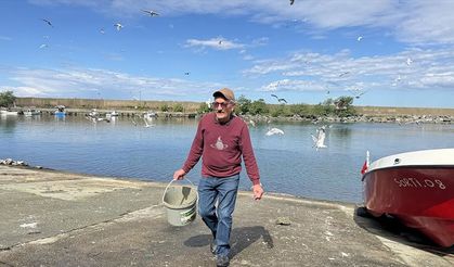 Artvin'li balık ustası 30 yıldır aynı yerde balık artıklarıyla martıları besliyor