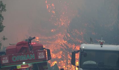 Bakan Yumaklı: Dün geceden bu sabaha kadar 3 farklı ilimizde üç yangın tamamen kontrol altına alınmış oldu