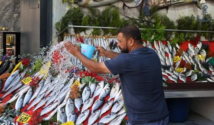 Balık sezonunun açılmasıyla tezgahlar doldu