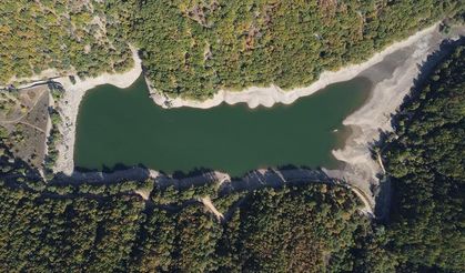 Bilecik'teki barajların su seviyesinin düşmesi ürünlerde verim kaybına neden oldu