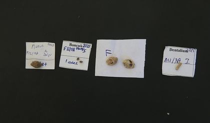 Direkli Mağarası'nda Epipaleolitik Dönem'e ait süs boncukları bulundu