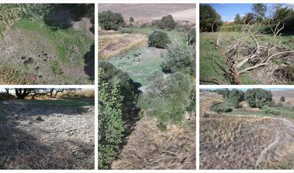 Edirne'deki Musabeyli Göleti kuraklık nedeniyle tamamen kurudu