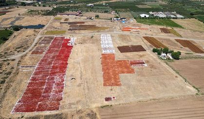 Gediz Ovası kurutmalık ürünlerle renklendi