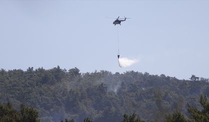 GÜNCELLEME - Milas'ta çıkan orman yangınına havadan ve karadan müdahale ediliyor