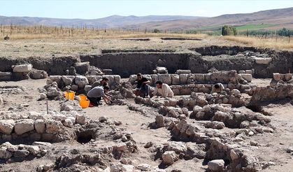 Hitit yerleşim yeri Kayalıpınar'da 56 çivi yazılı tablet ve 22 mühür baskısı bulundu