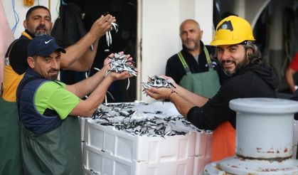 Karadeniz'de hamsi bolluğu balıkçıların yüzünü güldürdü