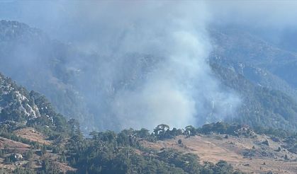 Köyceğiz'de çıkan orman yangınına müdahale ediliyor