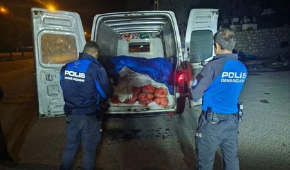 Samsun'da kaçak avlanan 5 ton midye ele geçirildi