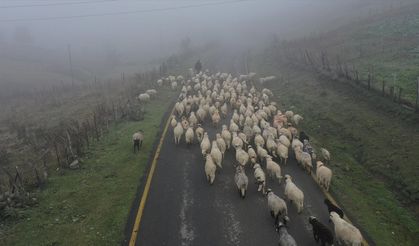 Sisler altındaki Karadeniz yaylalarından dönüş yolculuğu başladı