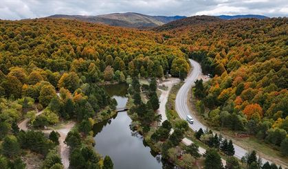Domaniç Dağları sonbaharın renklerine büründü