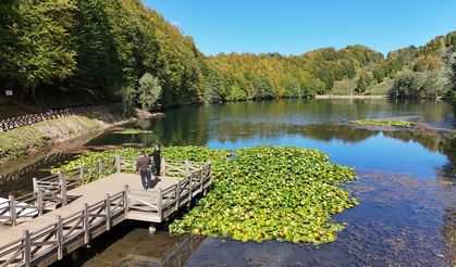 Ordu'daki Ulugöl Tabiat Parkı 9 ayda 220 bin ziyaretçiyi ağırladı