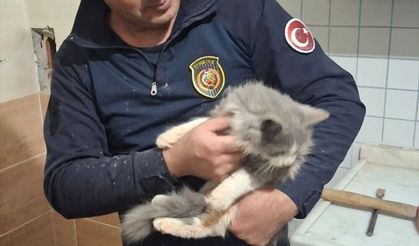 Malatya'da havalandırma boşluğuna sıkışan kediyi itfaiye kurtardı