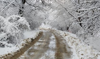 Malatya'da Dört İlçede Taşımalı Eğitime Kar Engeli