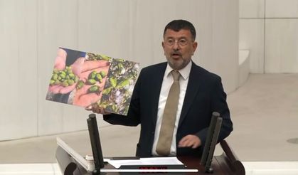 Ağbaba Meclis'te Uyardı: 'Kayısı Yerle Bir Oldu, Don Dolu Bir De Faiz Afeti Var'