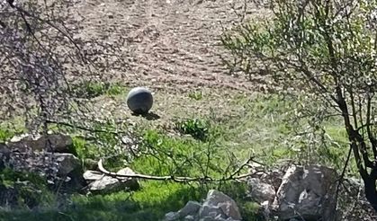 Baskil'de Bulunan Şüpheli Cisim Paniğe Neden Oldu