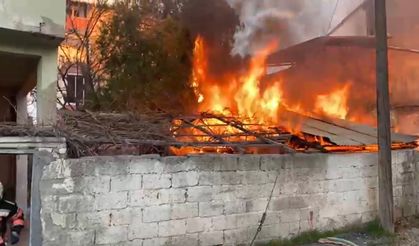 Gazi Mahallesi'nde Odunluk Yangını Paniğe Neden Oldu