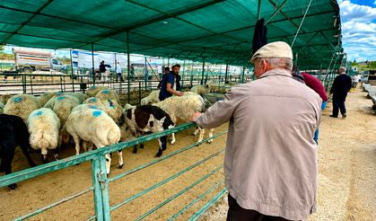 Canlı Hayvan Pazarında Son Gün