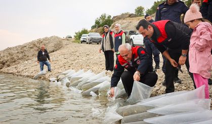Malatya'da 1 Milyon 300 Bin Sazan Yavrusu Suya Bırakıldı
