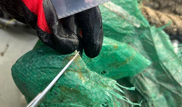 Karadeniz'de plastikler üzerinde yaşayan 55 tür mikroorganizma tespit edildi