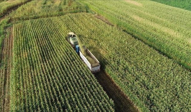 Tarım sayım seferberliği temmuzda başlıyor