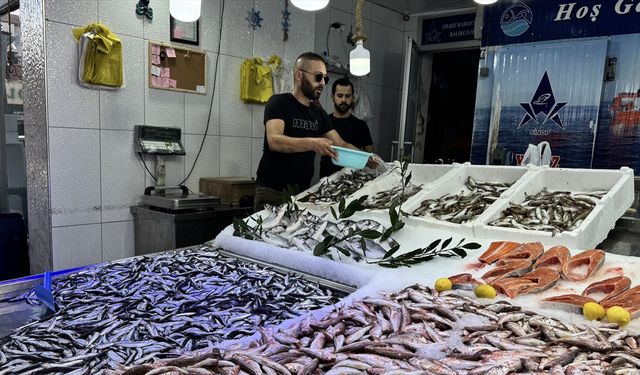 Ağlara erken takılan hamsi balıkçının yüzünü güldürdü