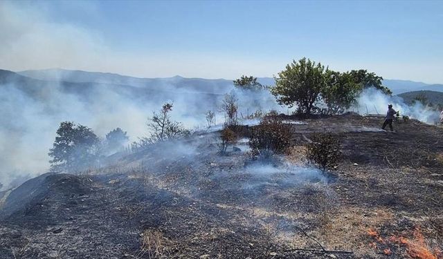 Bursa'da ormanlık alanda çıkan yangına müdahale ediliyor