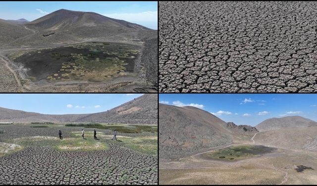 Erciyes'in eteklerinde yılkı atları, kuşlar ve koyunlara hayat veren Sarıgöl kurudu