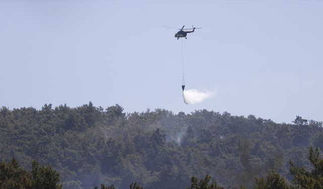 GÜNCELLEME - Milas'ta çıkan orman yangınına havadan ve karadan müdahale ediliyor