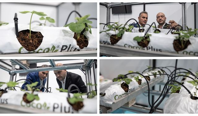 Mühendis kardeşlerden uzaktan kontrol edilebilen topraksız tarım sistemi