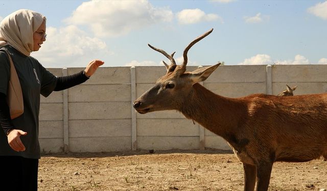 Sakarya'da lise öğrencileri meslek seçimlerini saha gözlemleriyle şekillendiriyor