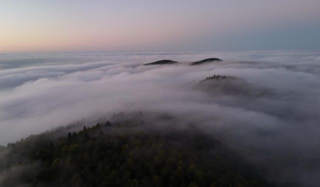 Samsun'da 1000 rakımlı mahallede oluşan 'sis denizi' dronla görüntülendi