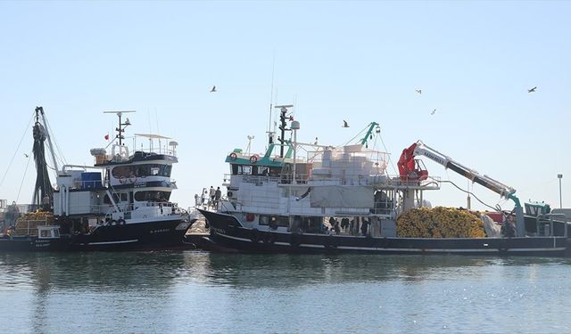 Tekirdağlı balıkçılar poyrazın etkisini yitirmesiyle yeniden denize açıldı
