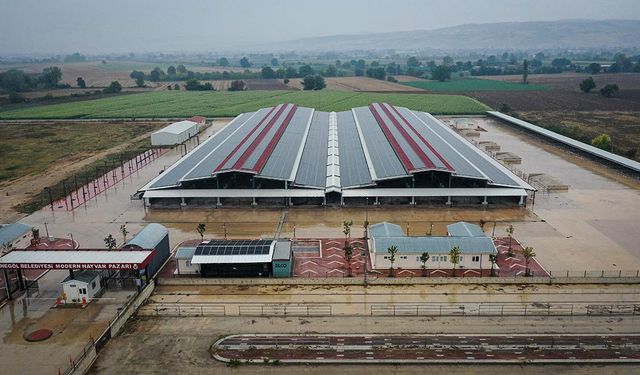 Çatılara kurdukları güneş panelleriyle belediyenin elektrik ihtiyacını karşılıyorlar