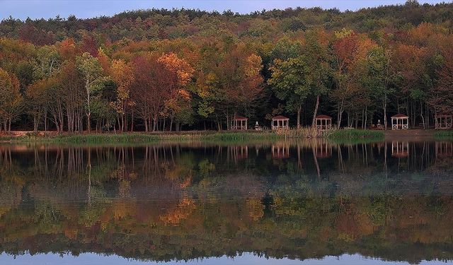 Düzce'deki Korugöl Tabiat Parkı ziyaretçilerini sonbahar manzarasıyla ağırlıyor