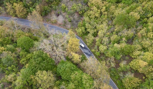 Ganos Dağı eteklerindeki ormanlar sonbahar renklerine bürünmeye başladı