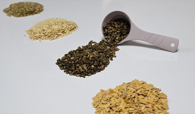 Güneydoğu'dan Afrika'ya hububat ihracatı yüzde 18,9 arttı