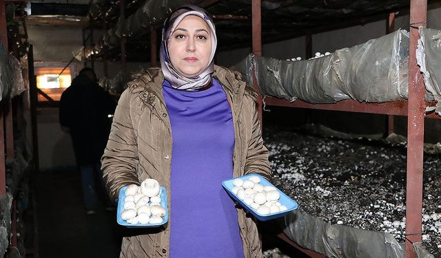 Kadın girişimci devlet desteğiyle kurduğu tesiste 75 ton mantar üretiyor