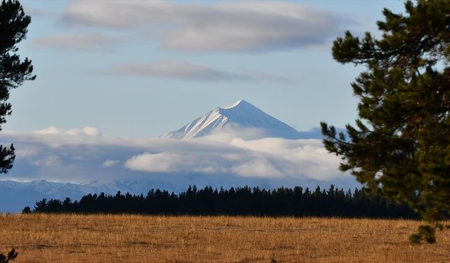 Kars, Ardahan ve Ağrı'da soğuk hava, kar ve sis etkili oldu