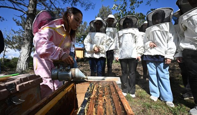 Özel bireyler TÜBİTAK destekli projeyle arıların dünyasını keşfediyor