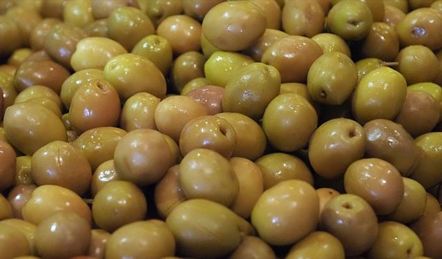 Sofralık zeytin ihracatında rekor kırıldı