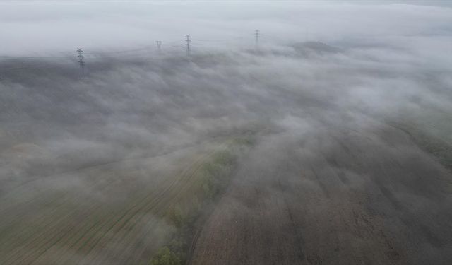 Tekirdağ'da sis etkili oldu