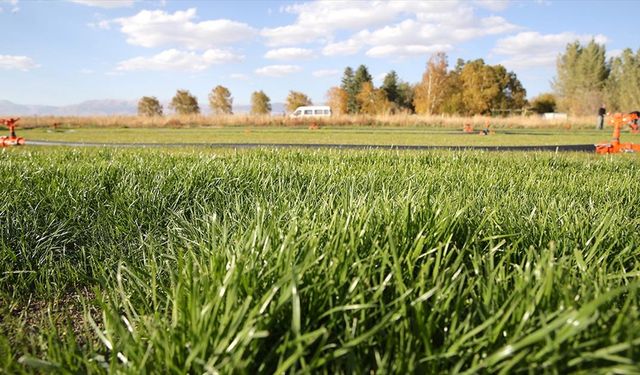 Topraksız rulo çim üretim yöntemiyle verimli tarım arazilerinin kaybolmasının önlenmesi hedefleniyor