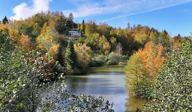 Trabzon'daki Taşlıyatak Yaylası ziyaretçilerini sonbahar renkleriyle karşılıyor